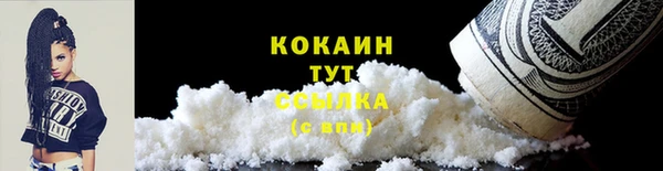 прущие грибы Абаза