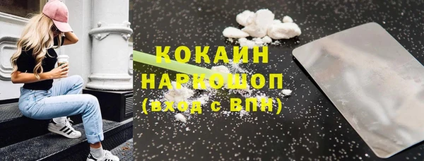 прущие грибы Абаза