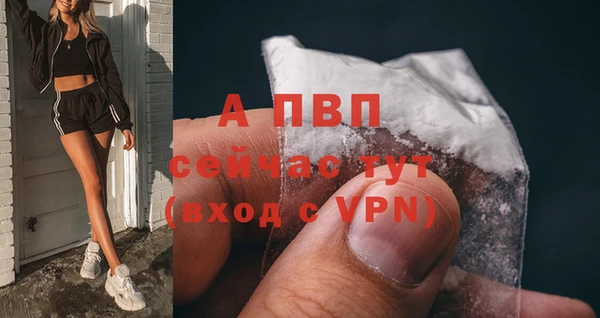 стаф Алексеевка